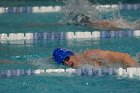 Swimming vs Bentley  Wheaton College Swimming & Diving vs Bentley College. - Photo by Keith Nordstrom : Wheaton, Swimming & Diving